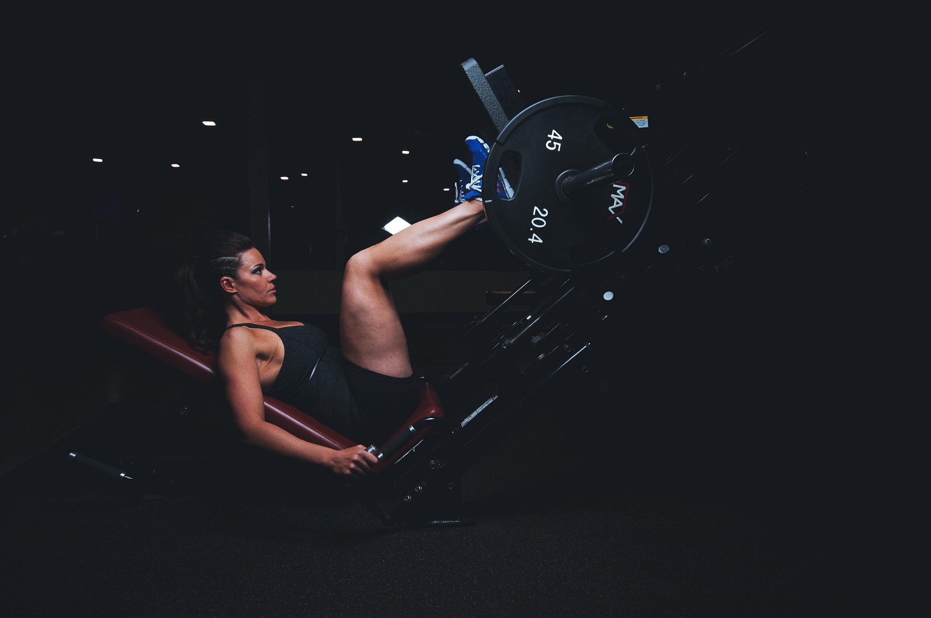Sturdymode - Fitness Program